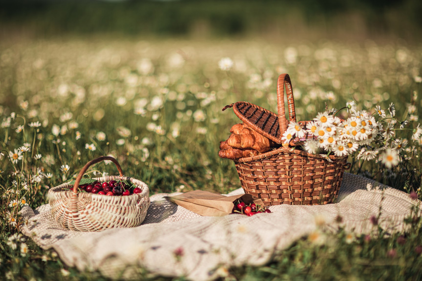 picnic baskets